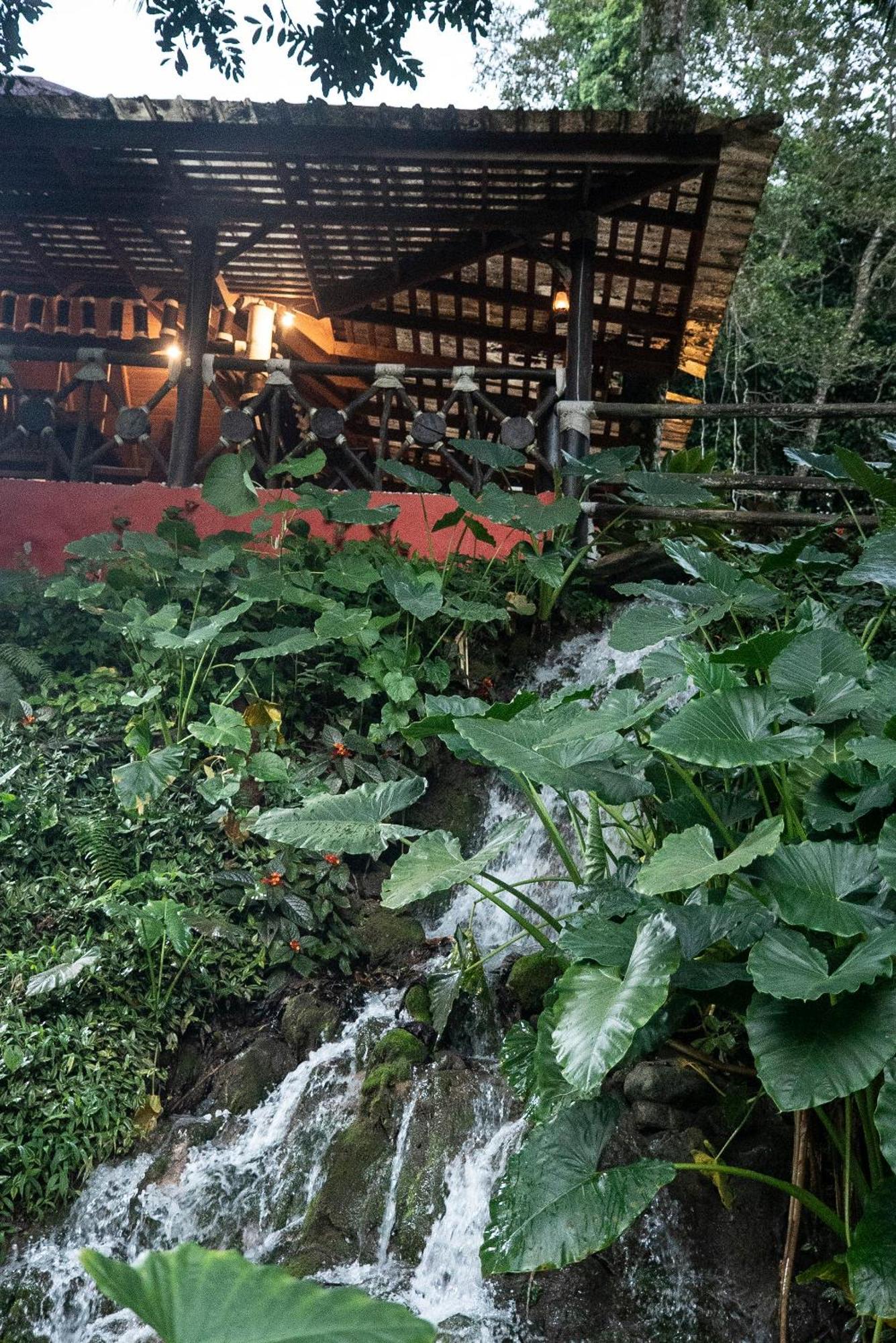 Platon Ecolodge Barahona Dış mekan fotoğraf