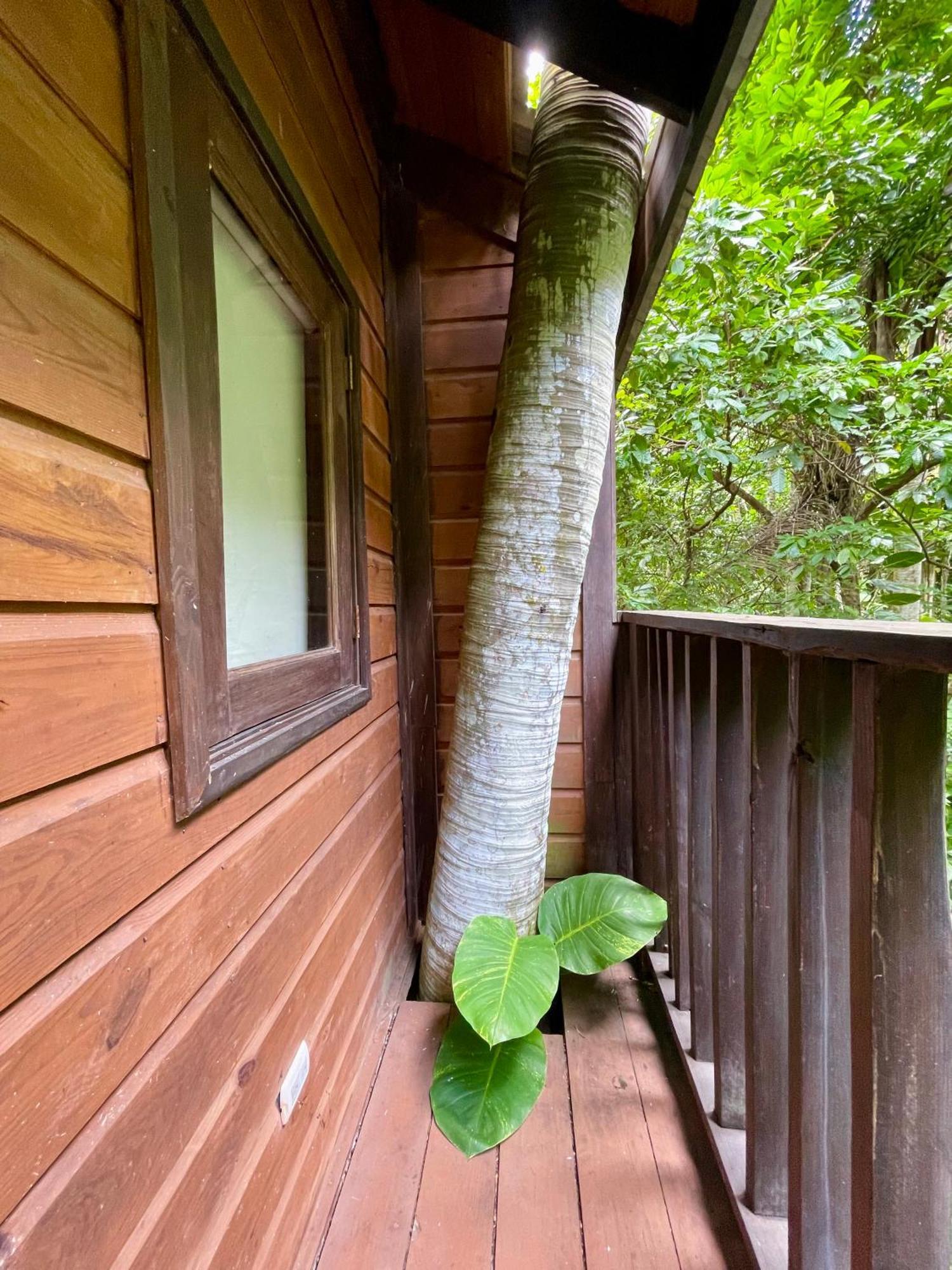 Platon Ecolodge Barahona Dış mekan fotoğraf